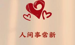 兔年高质量祝福文案