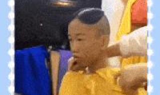 神龙归位什么意思 神龙归位什么意思