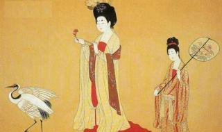 一朵花开百花杀全文