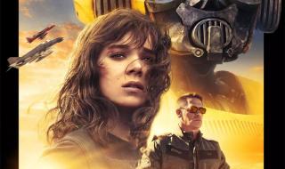 寻找大黄蜂 寻找大黄蜂