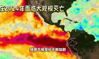 人类将在2024年灭亡 人类将在2024年灭亡