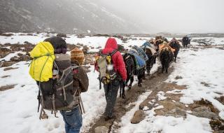 夏尔巴是什么意思 夏尔巴是什么意思