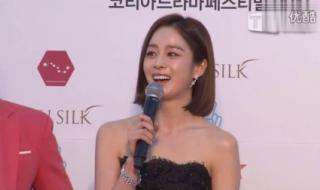 郑智薰主演的电视剧 郑智薰主演的电视剧