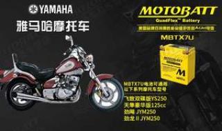 新大洲本田茜茜公主 新大洲本田茜茜公主