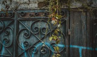 墨西哥人是印第安人吗