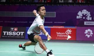 世界羽毛球单打排名