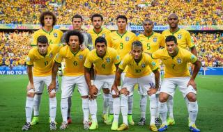 巴西队历届世界杯阵容 巴西队历届世界杯阵容