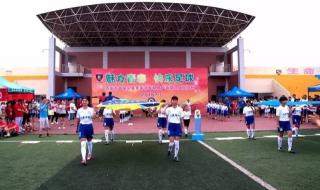 赛程安排和比赛结果